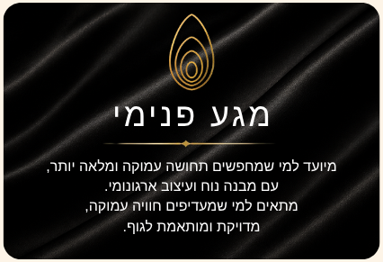 מגע פנימי